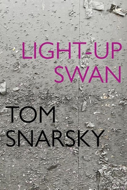 Light-Up Swan, Tom Snarsky - Paperback - 9781942723097