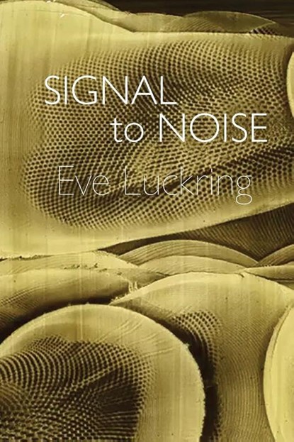 Signal to Noise, Eve Luckring - Paperback - 9781942723202