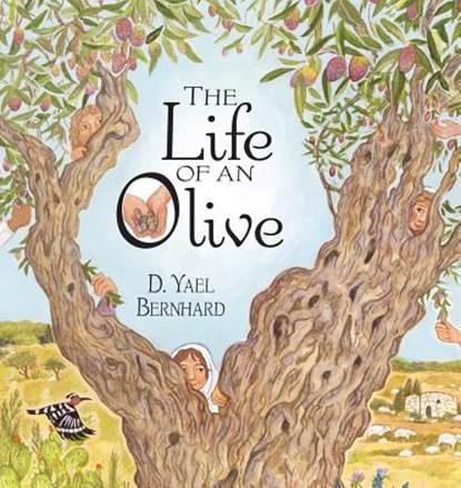 The Life of an Olive, D. Yael Bernhard - Paperback - 9781942762270