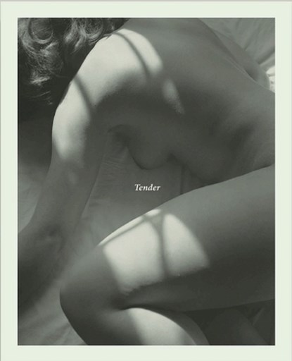 Tender, Carla Williams - Paperback - 9781942953722