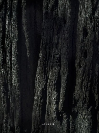 Asunder, niet bekend - Paperback - 9781942953791