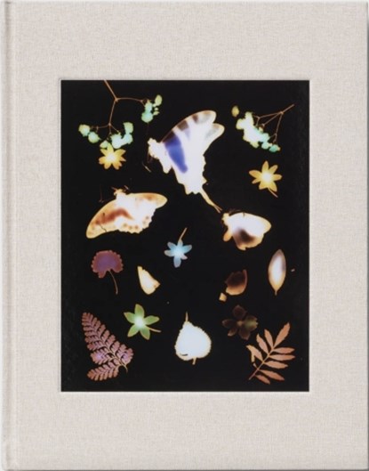 The Marble, niet bekend - Gebonden - 9781942953807