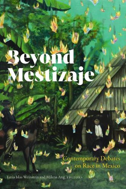 Beyond Mestizaje, Tania Islas Weinstein - Paperback - 9781943208678