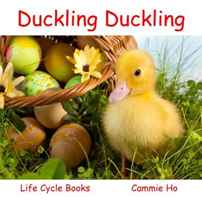 Duckling Duckling, HO,  Cammie - Paperback - 9781943241002