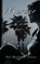 Murder Has Consequences, Pat McGrath Avery - Paperback - 9781943267262