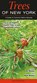 Trees of New York, MINETOR,  Nic &. Randi - Overig - 9781943334339