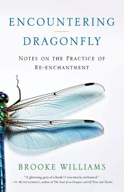 Encountering Dragonfly, Brooke Williams - Paperback - 9781943370290