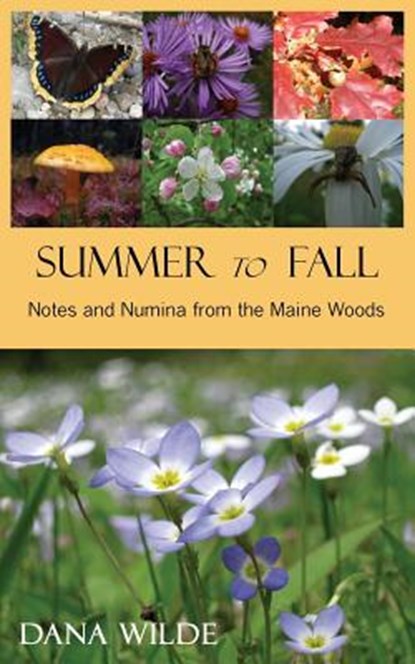 Summer to Fall, Dana Wilde - Paperback - 9781943424115
