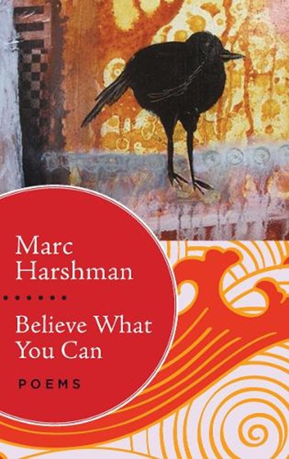 Believe What You Can, Marc Harshman - Paperback - 9781943665228