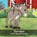 Barnabas, Harold Phillips - Paperback - 9781943871940