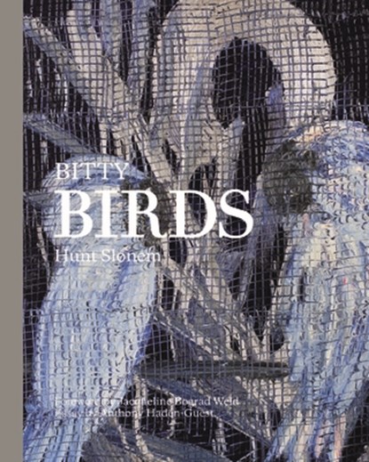 Bitty Birds, Hunt Slonem - Gebonden - 9781943876518