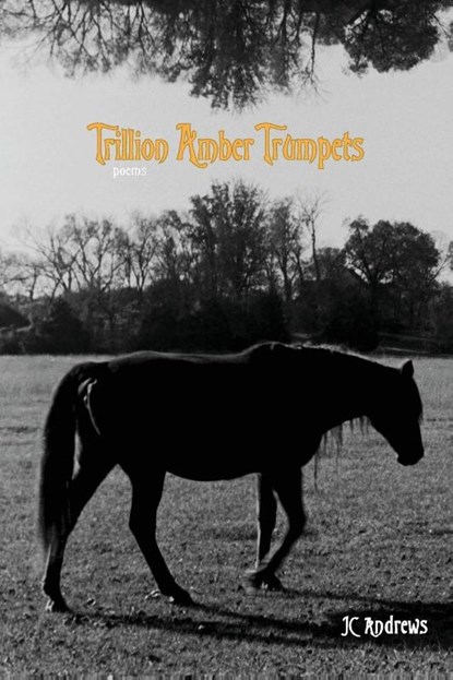 Trillion Amber Trumpets, Jc Andrews - Paperback - 9781943977932