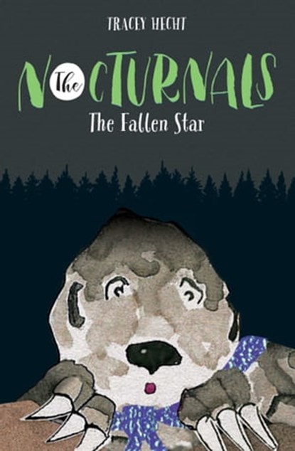 The Fallen Star, Tracey Hecht - Ebook - 9781944020064