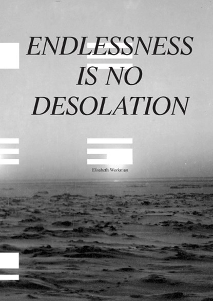 Endlessness is No Desolation, Elisabeth Workman - Paperback - 9781944253035