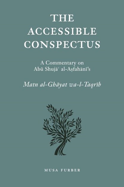 The Accessible Conspectus, Musa Furber - Paperback - 9781944904043