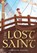 The Lost Saint, Christine Rogers - Paperback - 9781944967901