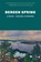Bergen Spring, Michael Cummings - Paperback - 9781945049491