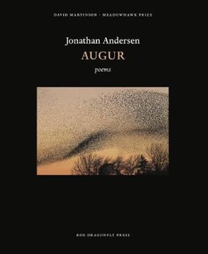 Augur, ANDERSEN,  Jonathan - Paperback - 9781945063206