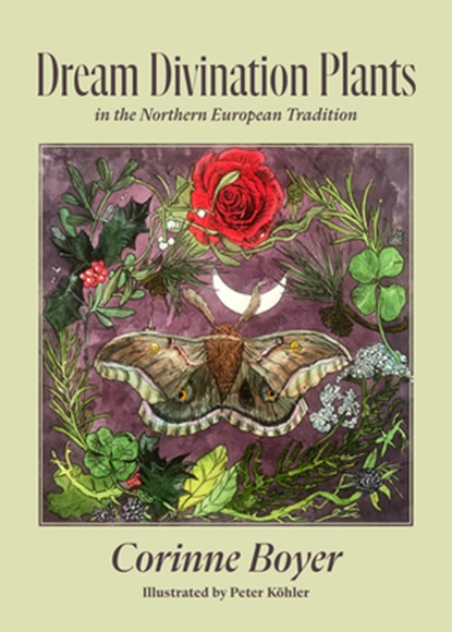 Dream Divination Plants: In Northwestern European Traditions, Corinne Boyer - Paperback - 9781945147456