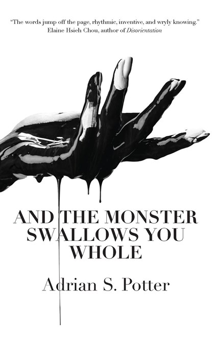 And the Monster Swallows You Whole, Adrian S. Potter - Paperback - 9781945233197