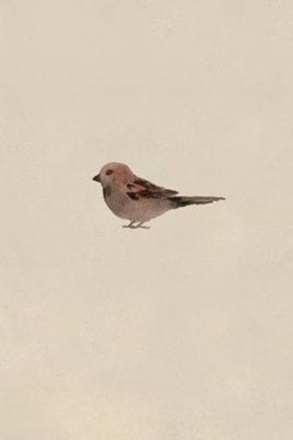 Sparrow Field Journal Notebook, 100 pages/50 sheets, 4x6, PRESS,  Poetose - Paperback - 9781945366093