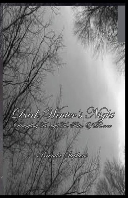 Dark Winter's Night, Brenda Stephens - Paperback - 9781945698255