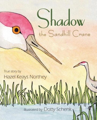 Shadow the Sandhill Crane, Hazel Keays Northey - Paperback - 9781945805219