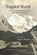 Toppled World, Susan Murphy - Paperback - 9781945805806