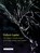 Fintech Capital, Paul Langley ; Andrew Leyshon - Gebonden - 9781945861338