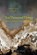 Ten Thousand Things, Judith (University of Chicago) Farquhar ; Qicheng Zhang - Paperback - 9781945861482
