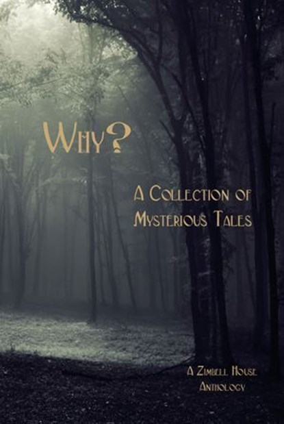 Why? A Collection of Mysterious Tales, Zimbell House Publishing - Ebook - 9781945967221