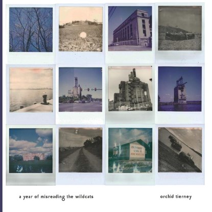 A Year of Misreading the Wildcats, Orchid Tierney - Paperback - 9781946031570