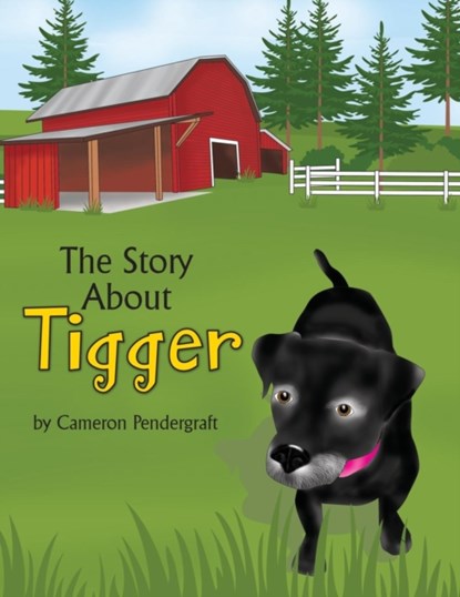 The Story About Tigger, Cameron Pendergraft - Paperback - 9781946198020