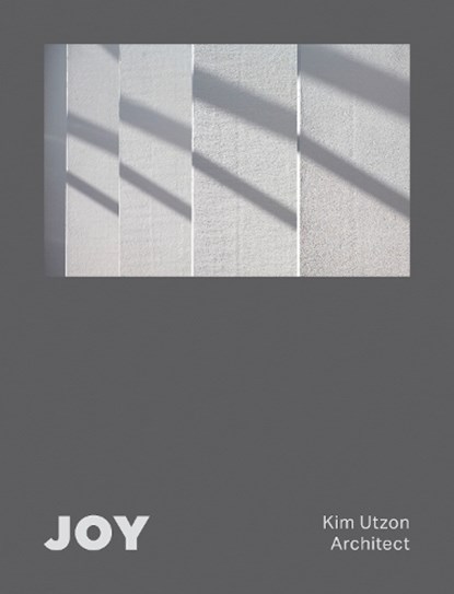JOY, Aaron Betsky - Gebonden - 9781946226600