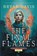 The Final Flames, Bryan Davis - Paperback - 9781946253859