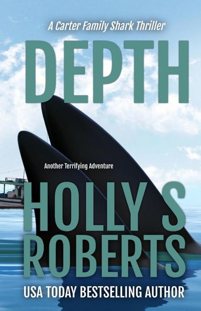 Depth, Holly S Roberts - Paperback - 9781946256539