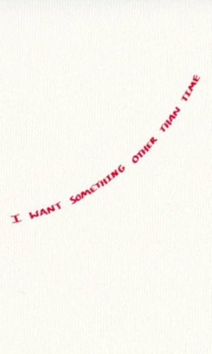 I Want Something Other Than Time, Lewis Freedman - Paperback - 9781946433787