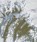 footprints, Es Lv - Paperback - 9781946433954