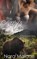 The Grizzly's Tale, MALONE,  Nara - Paperback - 9781946454034