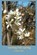 coming into spring, T Kilgore Splake - Paperback - 9781946460806