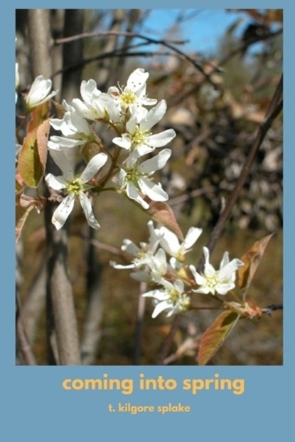 coming into spring, T Kilgore Splake - Paperback - 9781946460806