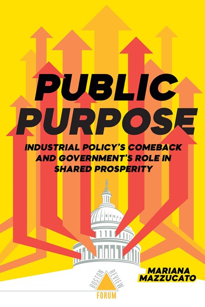 Public Purpose, Mariana Mazzucato - Paperback - 9781946511652