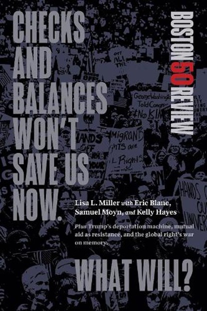 Checks and Balances Won't Save Us Now. What Will?, Lisa L. Miller - Paperback - 9781946511959