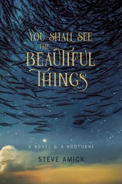 You Shall See the Beautiful Things – A Novel & A Nocturne, Steve Amick - Paperback - 9781946724595
