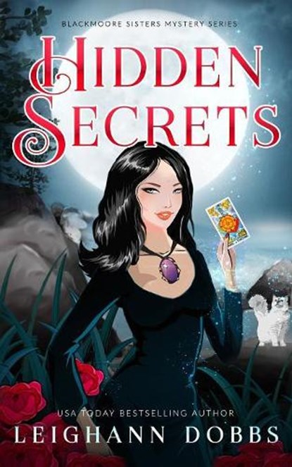 Hidden Secrets, Leighann Dobbs - Paperback - 9781946944535