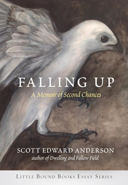 Falling Up, Scott Edward Anderson - Paperback - 9781947003484