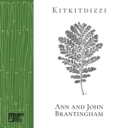Kitkitdizzi, John Brantingham ; Ann Brantingham - Ebook - 9781947240384
