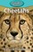 Cheetahs, Victoria Blakemore - Gebonden - 9781947439634