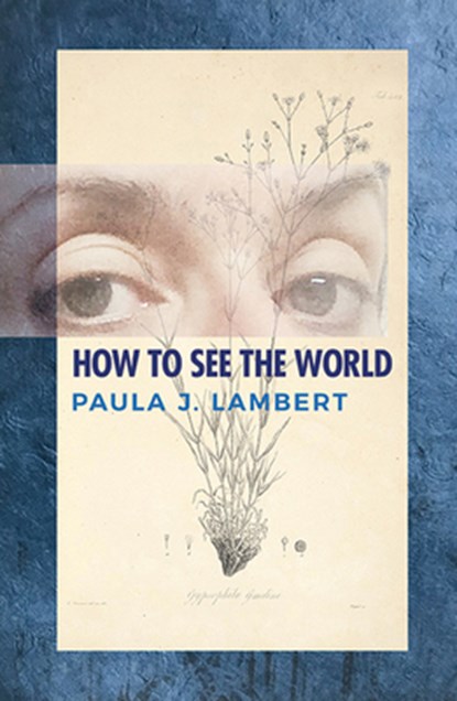 HT SEE THE WORLD, Paula J. Lambert - Paperback - 9781947504233