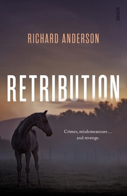 Retribution, ANDERSON,  Richard - Paperback - 9781947534506